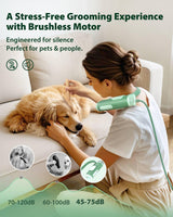 L&W BROS. Hands Free Dog Dryer – Powerful & Professional Pet Blow Dryer for Small & Medium Dogs & Cats, Adjustable Airflow, Easy Storage, Negative Ion Technology (Green)