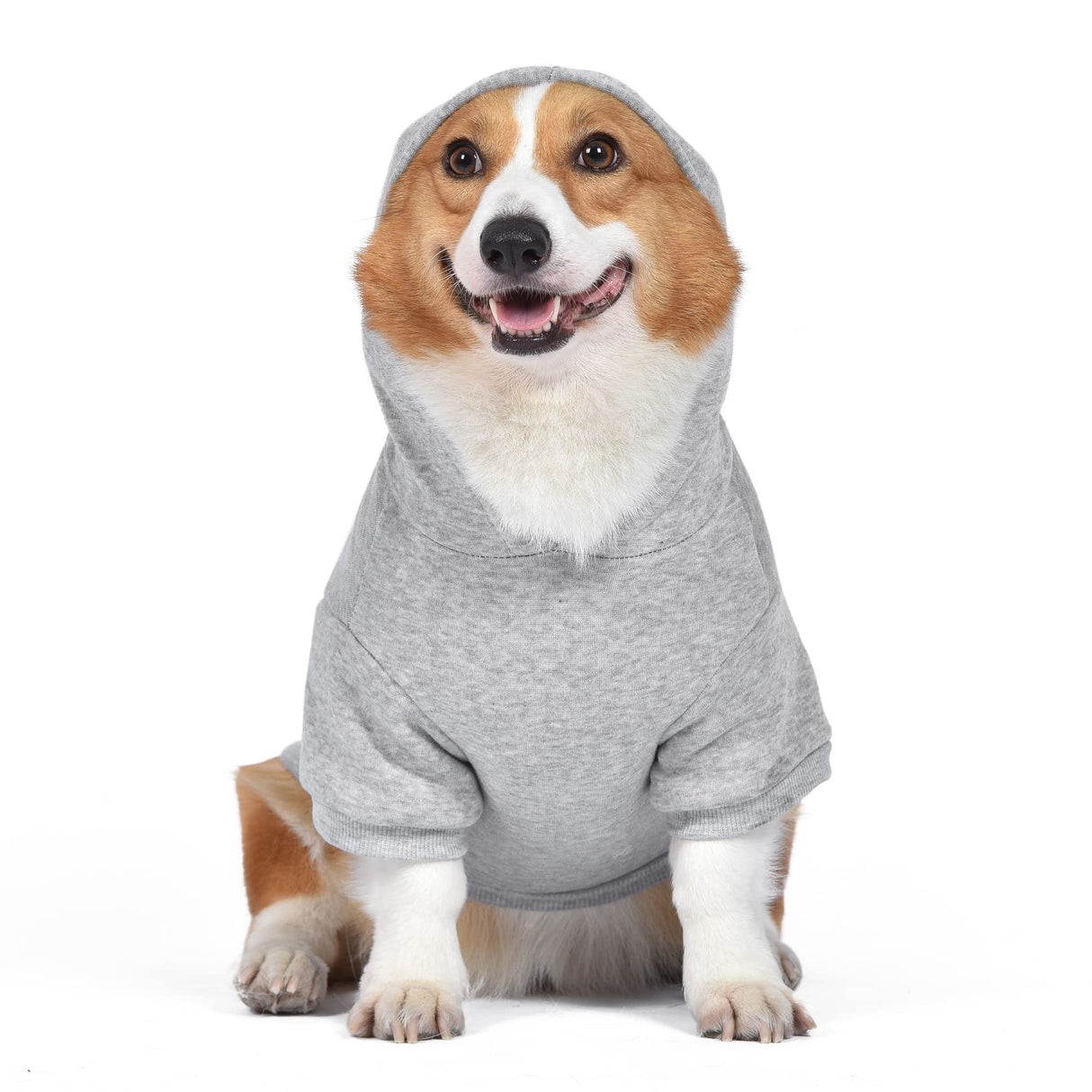 STAR WARS for Pets The Mandalorian Hoodie for Dogs with Leash Attachment Hole, Medium| Star Wars Apparel for Dogs | Cozy Hooded Sweatshirt, Gifts for Star Wars Fans