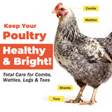 Respiratory Aid for Poultry - Chicken Supplement - Drinking Water Additive - Supports Respiratory Health in Roosters - Suitable for All Birds - 6 oz Dropper - Made in USA