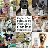 Wholistic Pet Organics Diatomaceous Earth - Food Grade for Dogs & Cats - 13 Oz - Multi Use Powder - Pet Safe Non-Chemical Freshwater Sourced Silica Supports Overall Health - Made in USA - 105 Scoops