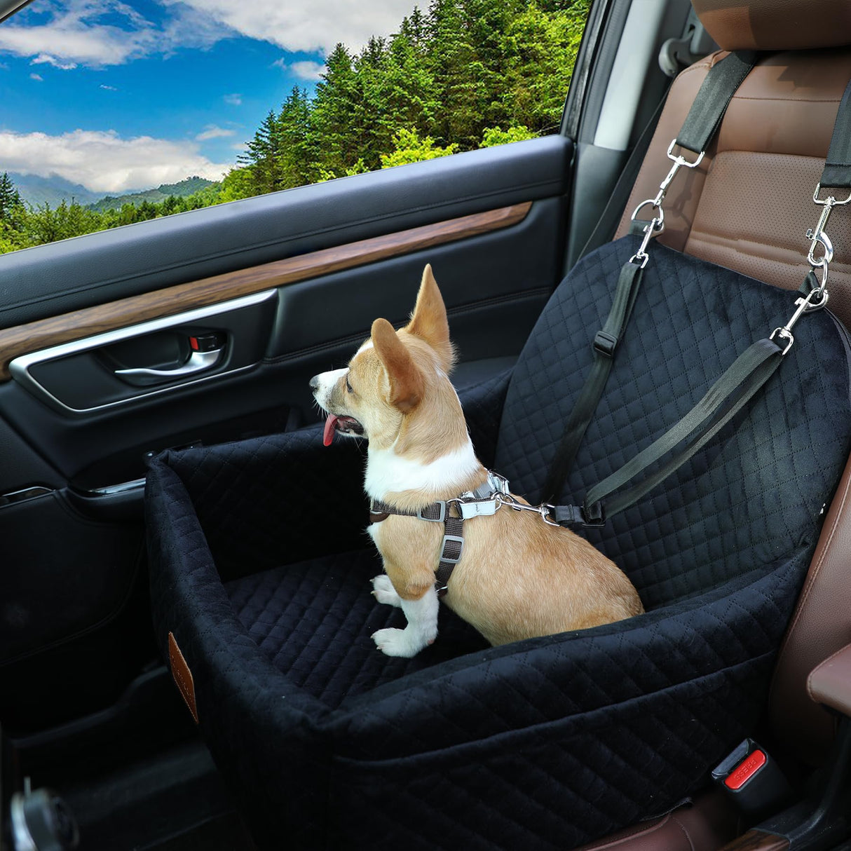 Car Dog Seat with 2 Safety Leashes,Dog Booster Seat for Small Medium Dogs 0-28lbs,Pet Car Travel Safety Bed with Storage Pockets,Non-Slip Bottom,Fully Detachable and Easy to Install(S1-Grey)