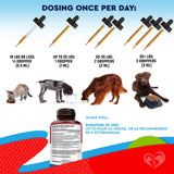Natural Intestinal Defense for Dogs, Puppies & Cats, Kitten – Herbal Cleanse with Wormwood, Black Walnut – Promotes Healthy Gut – Advanced Broad Spectrum Formula for Large, Medium Small para Perros