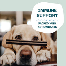 Load image into Gallery viewer, Shameless Pets Blueberry &amp; Mint Dental Chews for Dogs, 32 Chews - Natural Dog Teeth Cleaning Treats with Fresh Breath Benefits | Grain-Free Dental Sticks for Small, Medium &amp; Large Dogs
