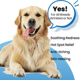 Yibesi Wrinkle Balm for Dog Wrinkles 3 Oz Includes Applicator, Dog Lotion for Dry Itchy Skin Relief, Yeast Infection Treatment, Protects from Cracks & Wounds