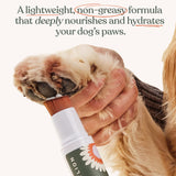 Dandylion Soft Paws Lotion with Brush | Dog Paw Balm & Paw Butter | Hydrating, Vet-Approved, Lick-Safe, Fragrance-Free | pH-Balanced for Itchy, Dry, Cracked Dog Paws | 0.6 fl oz