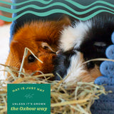 Oxbow Western Timothy Hay, Guinea Pig Hay, Small Pet Bunny Supplies, All Natural Grass for Guinea Pig, Bunny, Chinchilla & Hamster, Oxbow Rabbit Supplies for Bunnies, 90 oz. bag
