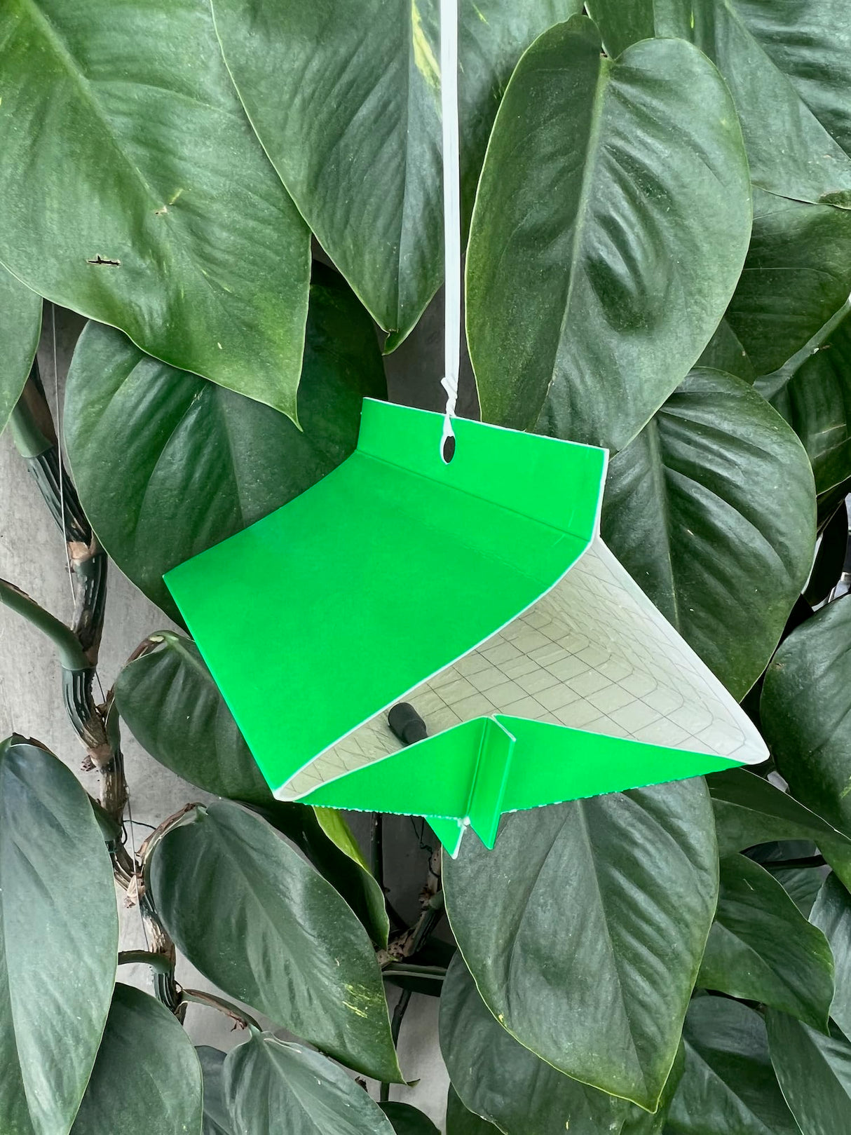 VivaTrap VT-102 Citrus Leafminer Trap & Lure (2 Pack)