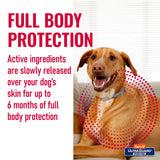 Hartz UltraGuard ProMax Flea & Tick Collar for Dogs I 12 Months Protection I Soft & Comfortable Flea & Tick Prevention I 2 Pack,Gray