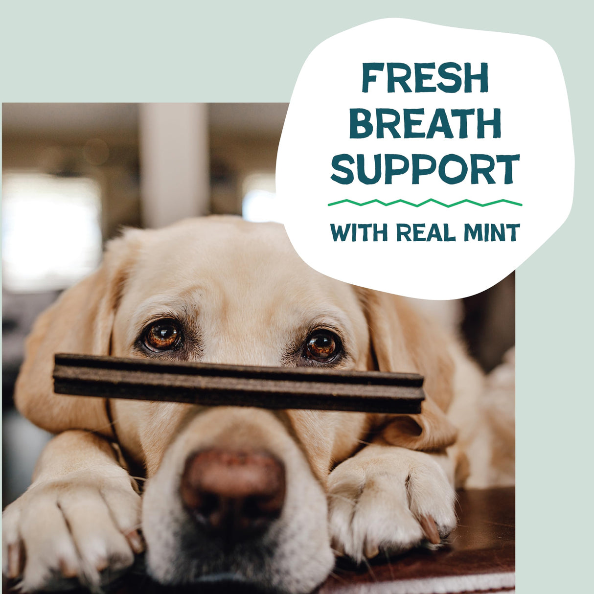 Shameless Pets Dental Chews for Dogs, Variety (3-Pack) - Natural Dog Teeth Cleaning Treats with Fresh Breath Benefits | Grain-Free Dental Sticks for Small, Medium & Large Dogs