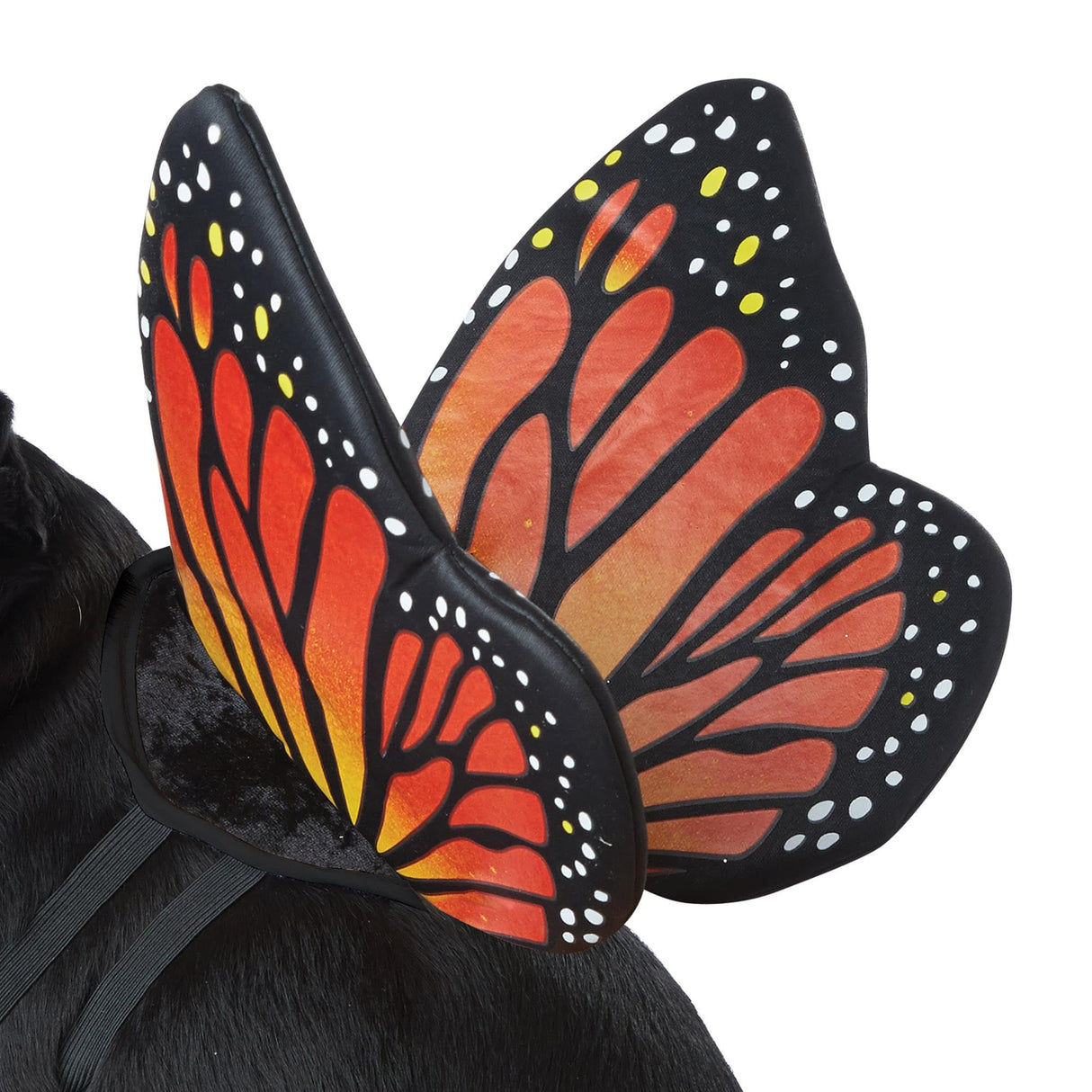 Calico, Monarch Butterfly Dog Costume Medium