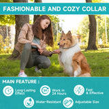 Flea and Tick Prevention for Dogs, 4 Pack Flea Collar for Dogs, Dog Flea and Tick Treatment, 32 Months Protection, Waterproof, Adjustable Collar for Dog, One Size Fits All for All Breeds, Grey