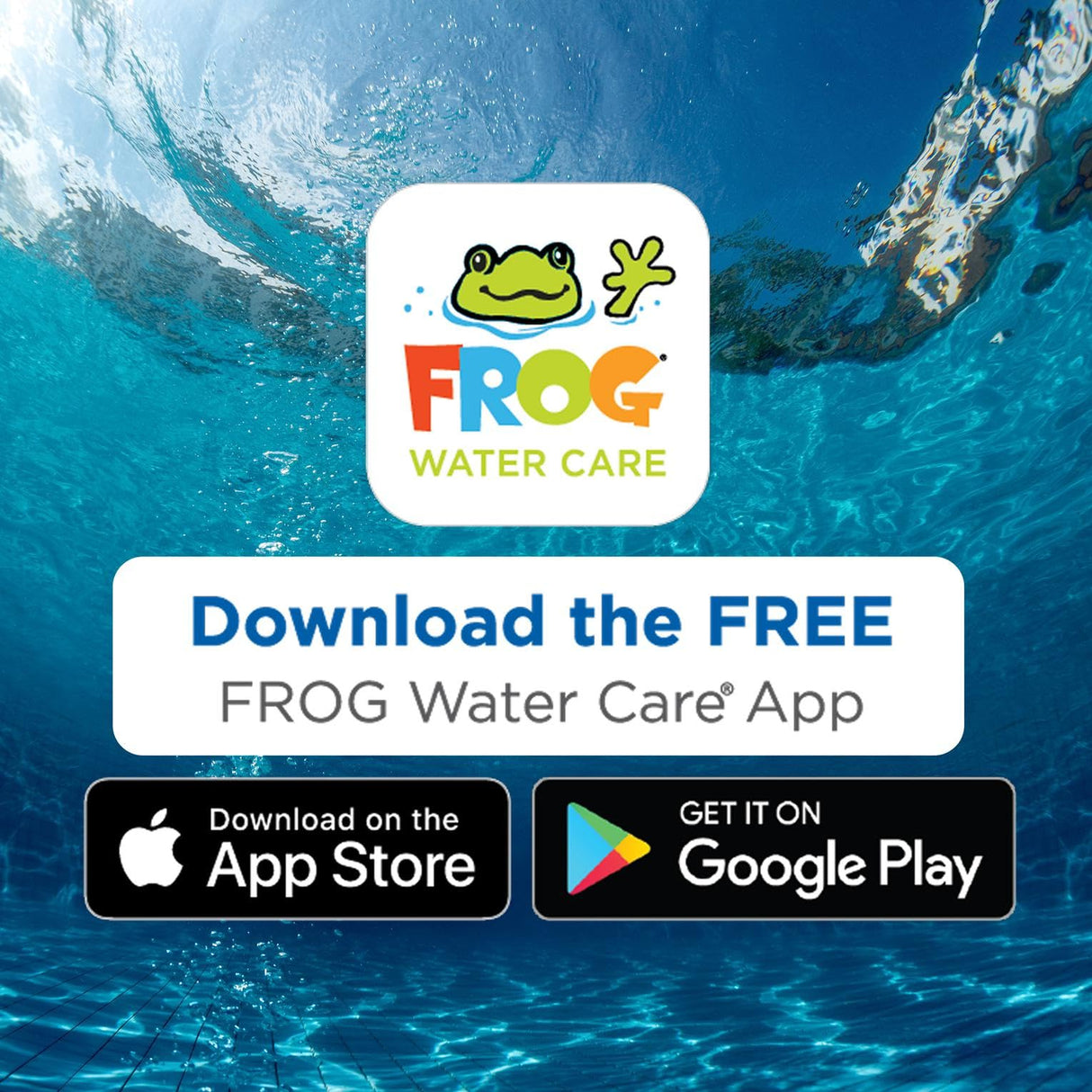 FROG Replacement Chlorine Cartridge for use with Flippin’ FROG Floating Sanitizer System - Prefilled Cartridges Support Easy Pool Maintenance and Cleaner & Clearer Water - 1 Pack