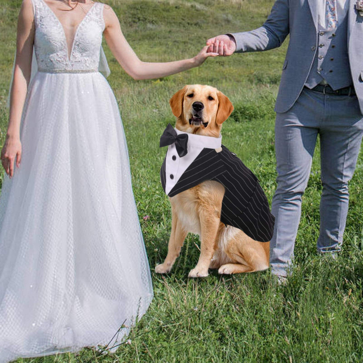IDOMIK Dog Tuxedo for Small Medium Large Doggie, Detachable Dog Formal Wedding Suit with Tuxedo Vest & Bow Ties Collar & Bandana Scarf Set, Wedding Attire Shirt for Birthday Party Costume