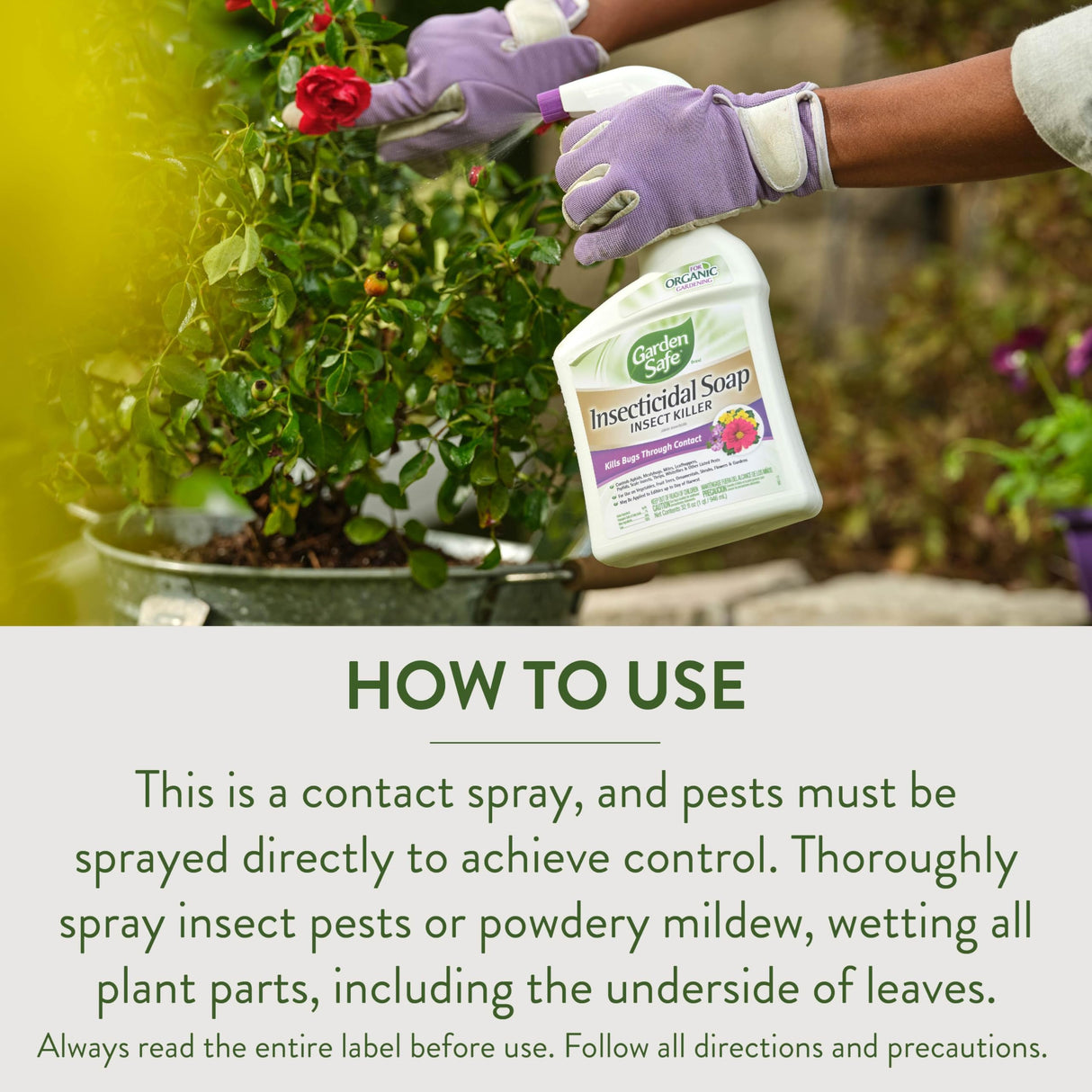 Garden Safe Brand Insecticidal Soap Insect Killer, 32 Fluid Ounces, For Organic Gardening, Kills Bugs Through Contact