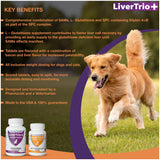 LiverTrio+ Comprehensive Liver Support Supplement for Smaller Dogs. Flavorful Chewable Tablets Combining Same, SPC, Silybin A+B, + Glutathione 30Ct (Small - Medium)