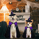 PAYHTOW Dog Halloween Costumes, Dog Witch Costume Funny Pet Witch Cloak Cape Wizard Hat Holiday Outfit Clothes Halloween Costumes for Small Medium Large Dogs Pets (Medium)