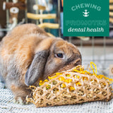 Oxbow Enriched Life Timothy Party Pack – Rabbit and Guinea Pig Toys, Chinchilla and Hamster Enrichment, Small Pet Accessories for Cages, Bunny Chew Toys Made with Timothy Hay, 6 Piece Variety Set