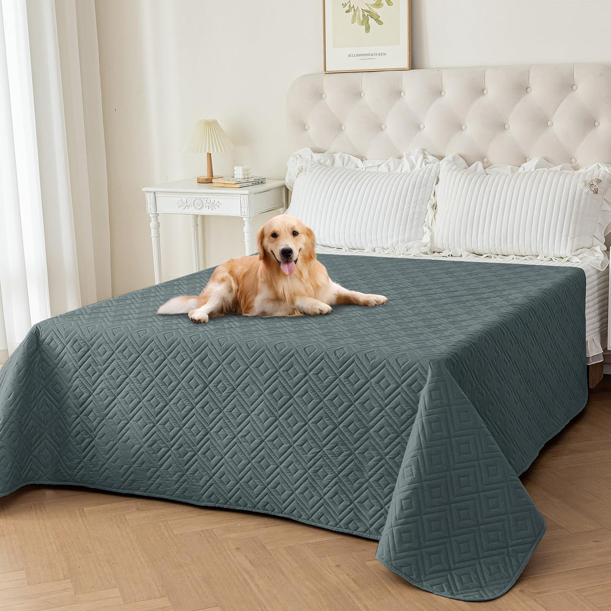 2026 Waterproof Dog Bed Blanket (82"x102") Comfy Couch Sofa Mat for Dog Pets with Anti-Slip Back, Universal Incontinence Lightweight Liner Pad for Furniture Car Picnic etc Durable Washable, Dark Grey