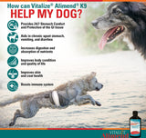 Vitalize Alimend K9 - Dog Upset Stomach Relief for Nausea, Vomiting & Diarrhea - 6 Oz