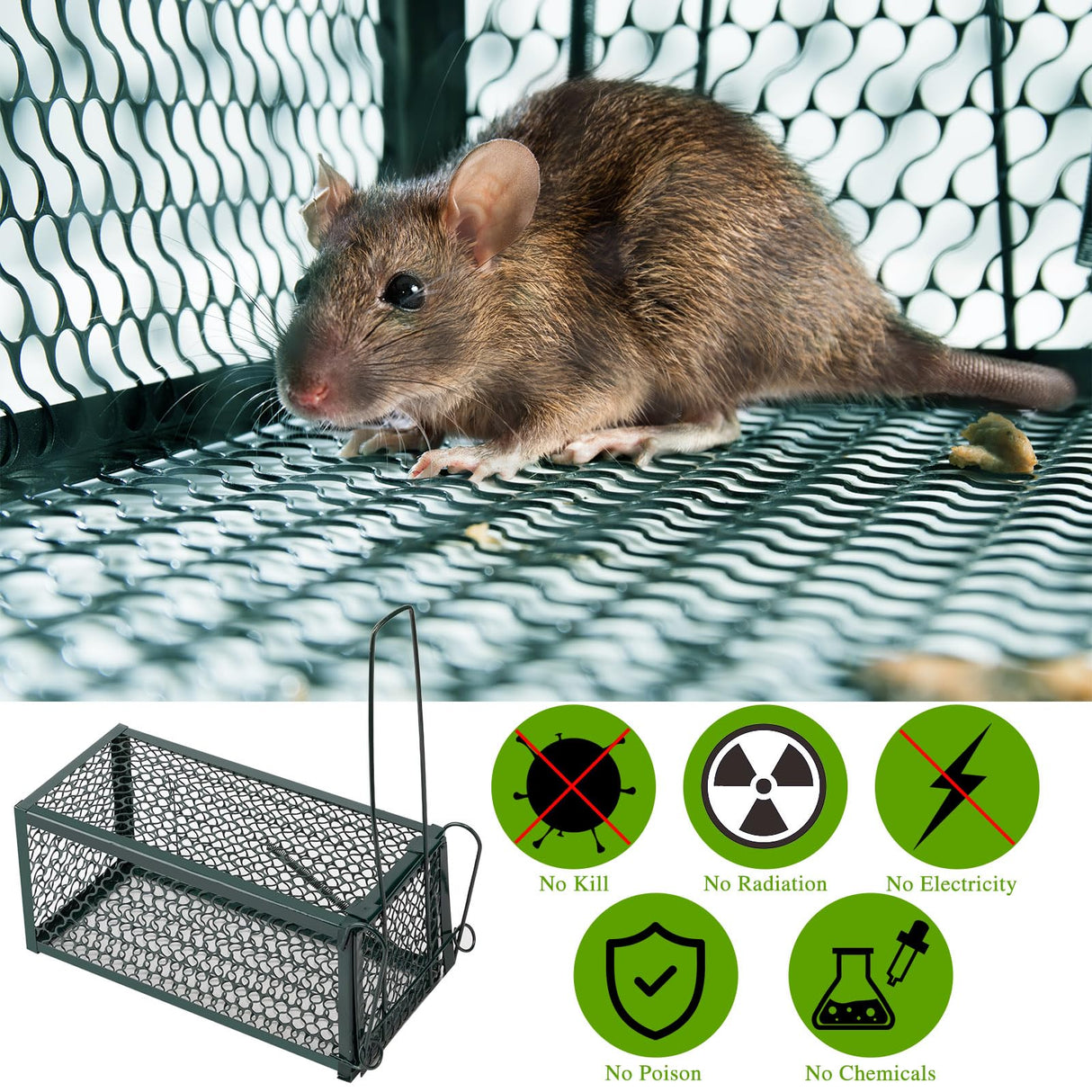 Humane Rat Trap Chipmunk Rodent Trap Mouse Trap Squirrel Trap Small Live Animal Trap Mouse Voles Hamsters Live Cage Rat Mouse Cage Trap for Mice Easy to Catch and Release (Green,2 Pcs)