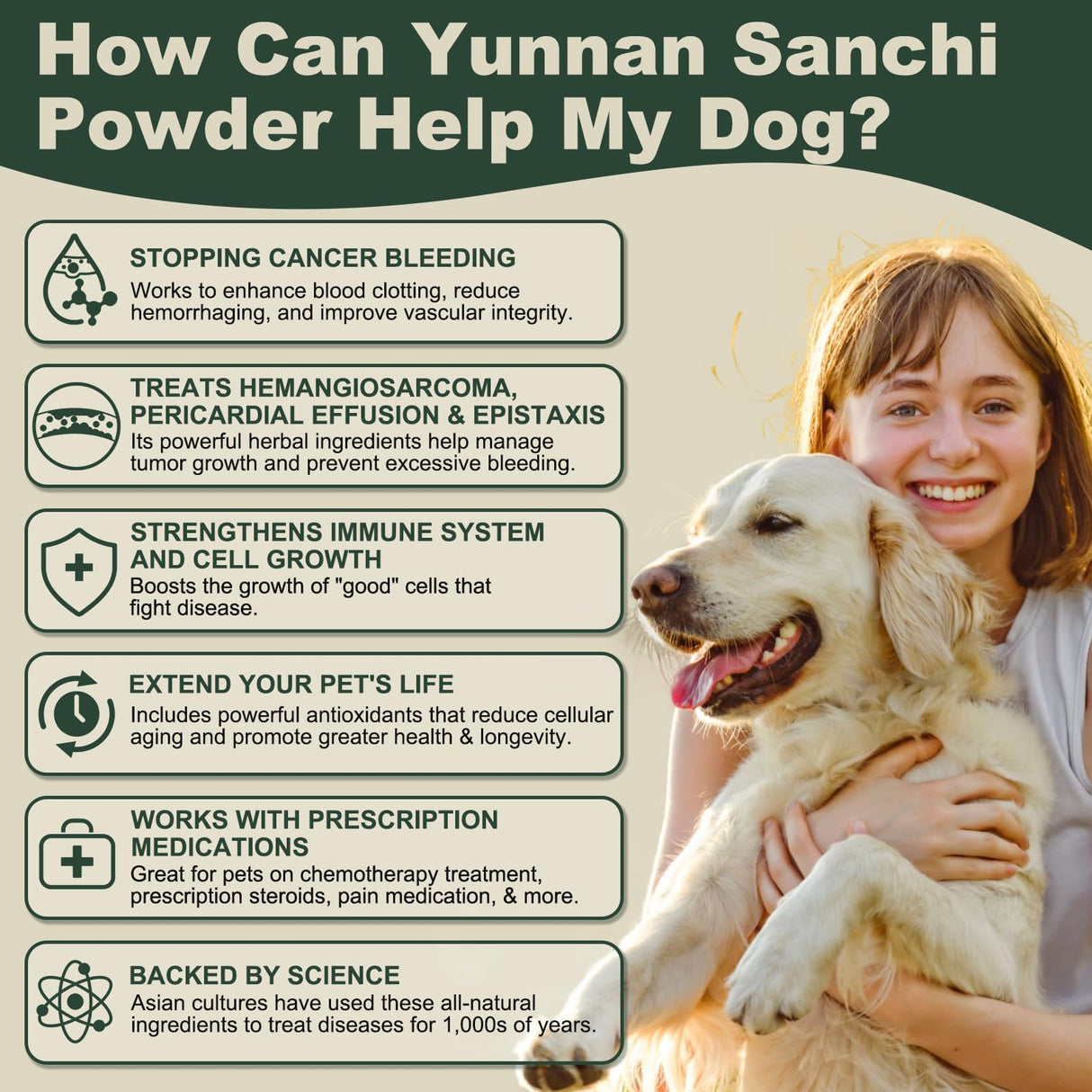 Aids in Cancer Treatment, Quick Stop Bleeding, Yunnan Sanqi Powder for Hemangiosarcoma, Hemoabdomen, Pericardial Effusion, Cancer Bleeding, Nose Bleed, Bloody Stools, Blood Support for Dogs, 100g