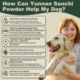Aids in Cancer Treatment, Quick Stop Bleeding, Yunnan Sanqi Powder for Hemangiosarcoma, Hemoabdomen, Pericardial Effusion, Cancer Bleeding, Nose Bleed, Bloody Stools, Blood Support for Dogs, 100g