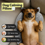 POMESEA Dog Calming Pillow, Glow in The Dark Dog Put Head on, Soft Question Mark Pillows for Dogs, Kids, Adults, Washable Dog Bed Pillow, Cozy Dog Body Pillow (L Gray)