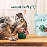 WOOF Pupsicle Refill Pops for Allergy Support for Dogs - Allergy Dog Treats for The Pupsicle Toy to Support Your Dog’s Natural Immune Defenses - Large Pops - 7 Count