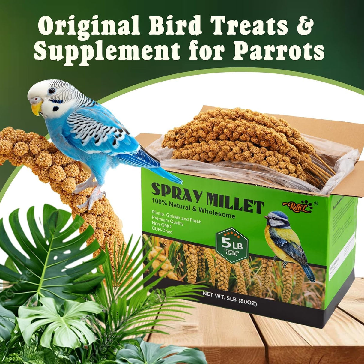 RANZ 5LBS Spray Millet Treat for Pet Birds, Hand-Harvested Bird Snack, Natural Sun-Dried Millet Spray for Parakeets, Parrots, Cockatiels, Lovebirds, Budgies, Finches, Canaries