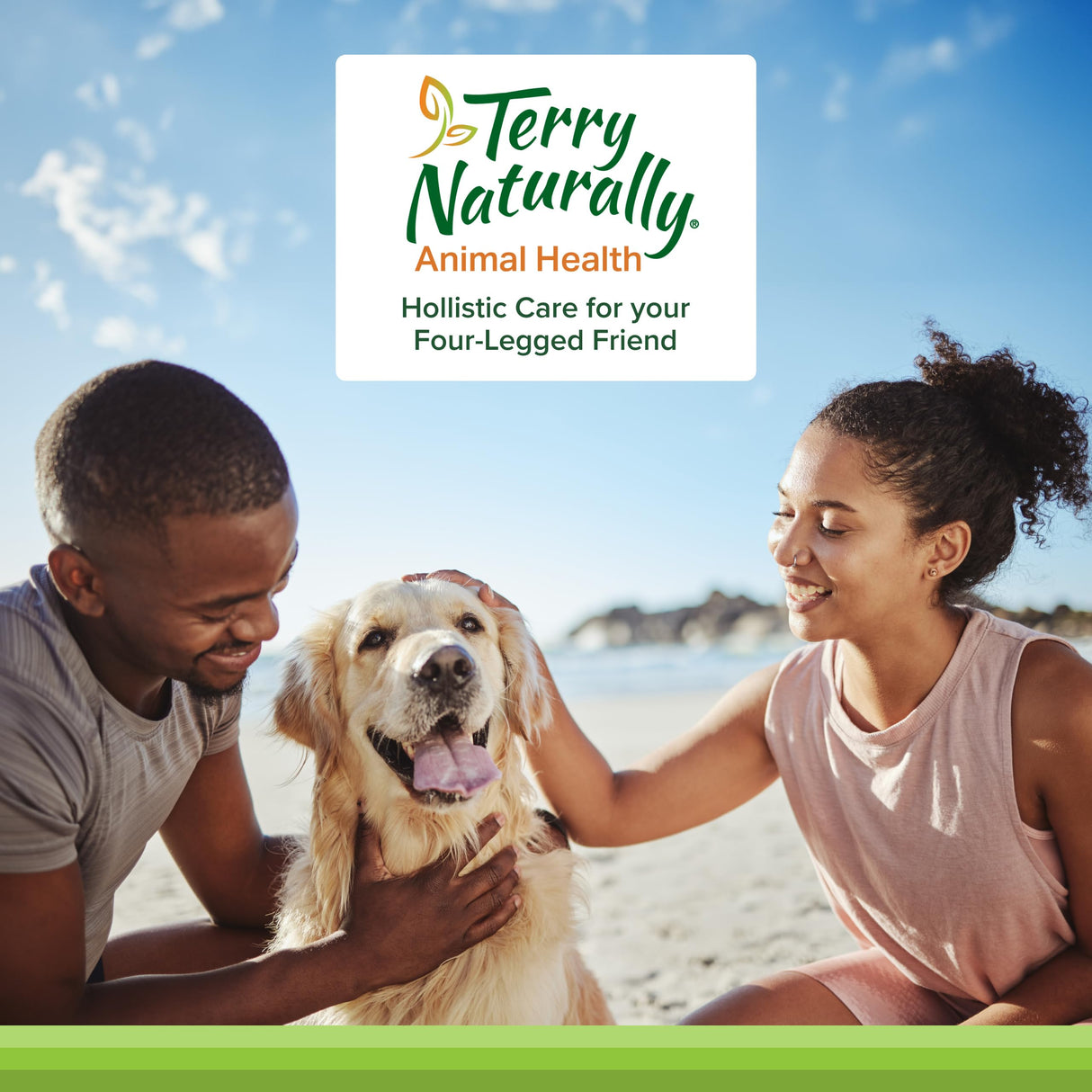 Terry Naturally Curacel Curcumin - Health Supplement for Dogs - Pet Curcumin Dog Supplies - Cellular Health Supplement with Antioxidants - 60 Softgels