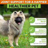 Turmeric for Dogs – 180 Count Tablet Treats with Curcumin & Piperine – Joint Health, Mobility, Allergy & Itch Relief, Skin & Coat, Hot Spots – Duck Flavor with Salmon Oil