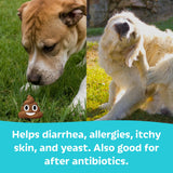 Tails ’N’ Tummies Probiotics for Dogs: 60 Tiny Tablets for Allergies, Itchy Skin, Diarrhea & Digestive Relief – Gentle, Clean Formula for Dogs