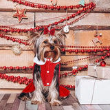 Dog Christmas Red Velvet Dress Cute Puppy Xmas Outfits Santa Claus Cat Skirt with 2 Bow Accessories Thermal Winter Warm Dog Clothes Coat Holiday Costumes(X-Large)