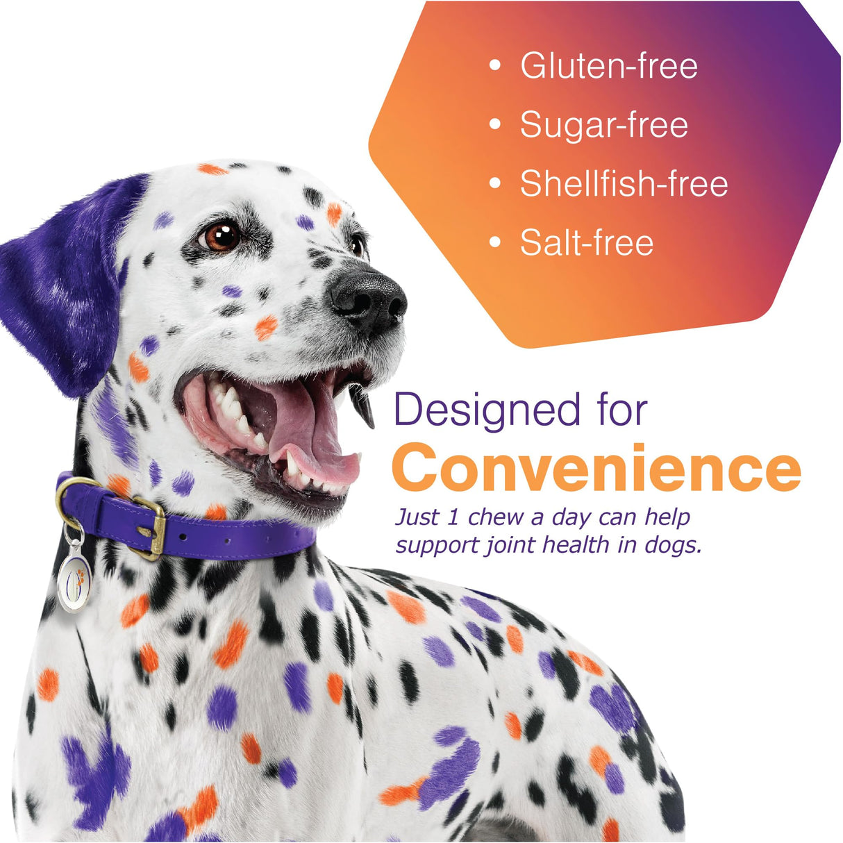 MOVOFLEX Soft Chews Hip and Joint Support Supplement for Dogs for Medium Dogs - 60 Count By Virbac