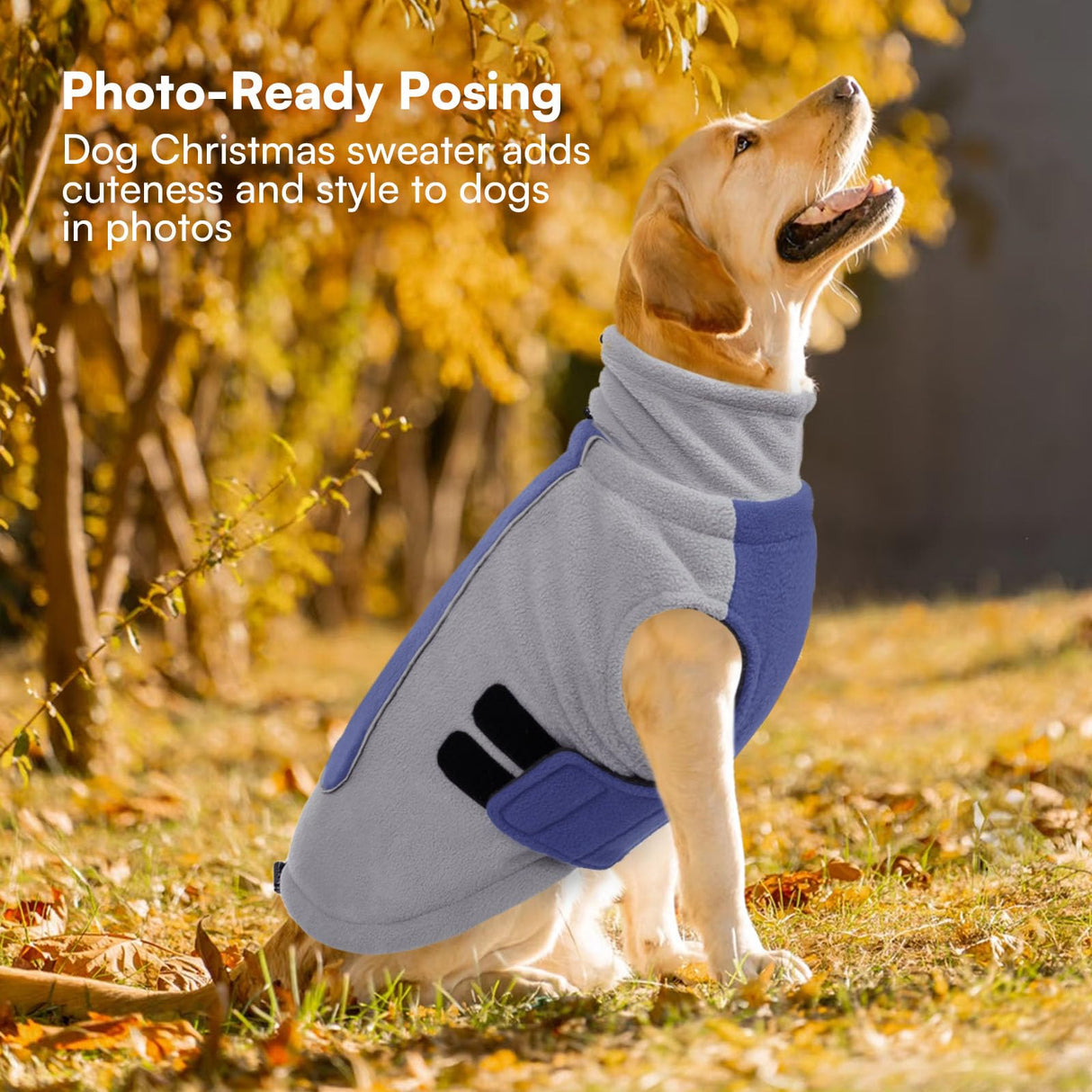 Queenmore Dog Sweater Male Female Dog Christmas Sweater Winter Jacket Coats with Leash Hole for XL Dogs Fleece Dogs Sweaters for Large Pets Collie Pitbull, Blue XL
