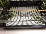 Birdcage Liners - Poly Coated, Large Sizes, Custom Orders - Pre Cut Sheets in 60, 100 or 150 Quantities - Up to 250 Ft
