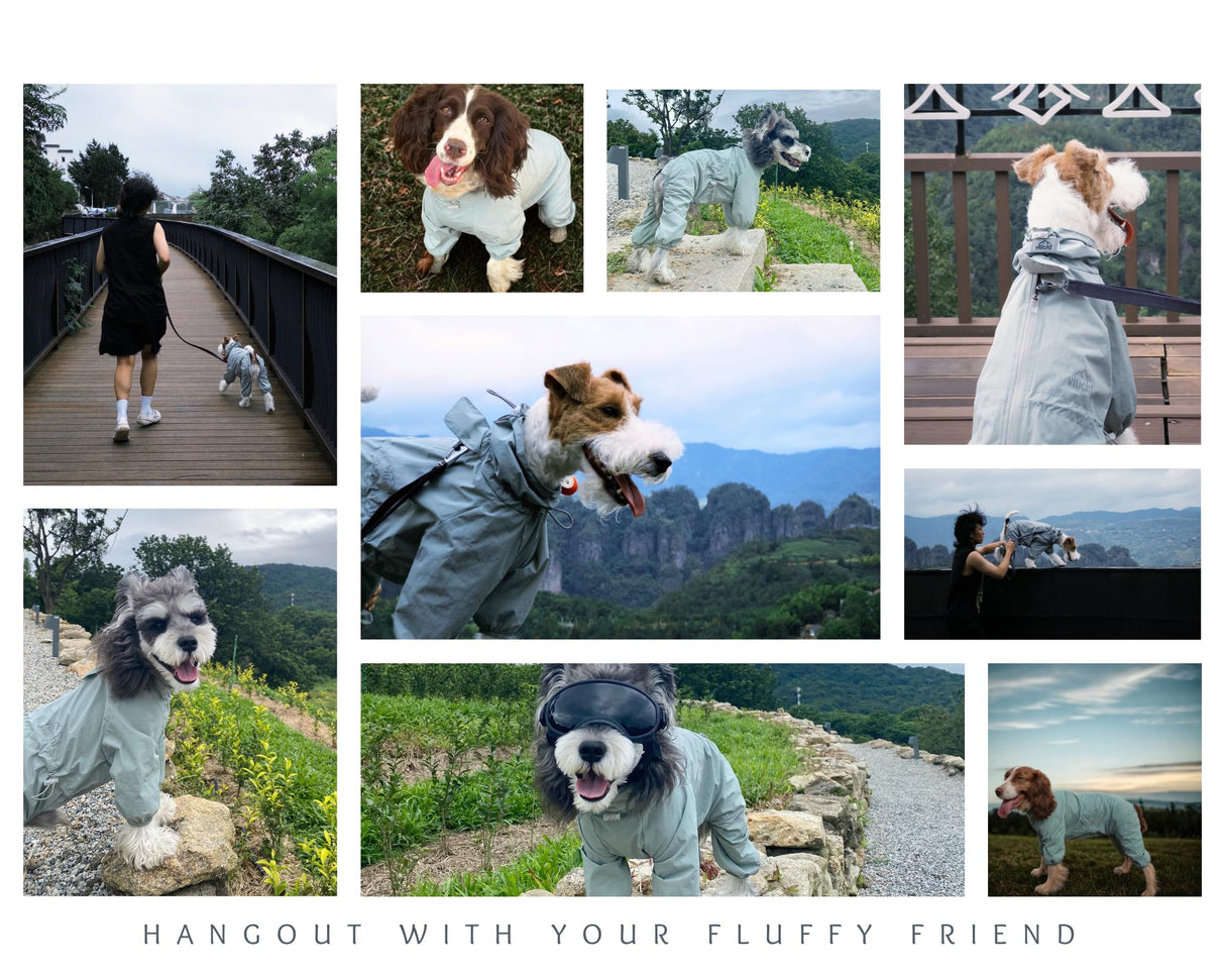 Vilichi Dog Raincoat, Waterproof Coat, Light Weight & Weather Resistant Shell, Full Coverage Rain Jacket with Legs, Grey, Including Storage Bag, for Medium Breed (X-Large)