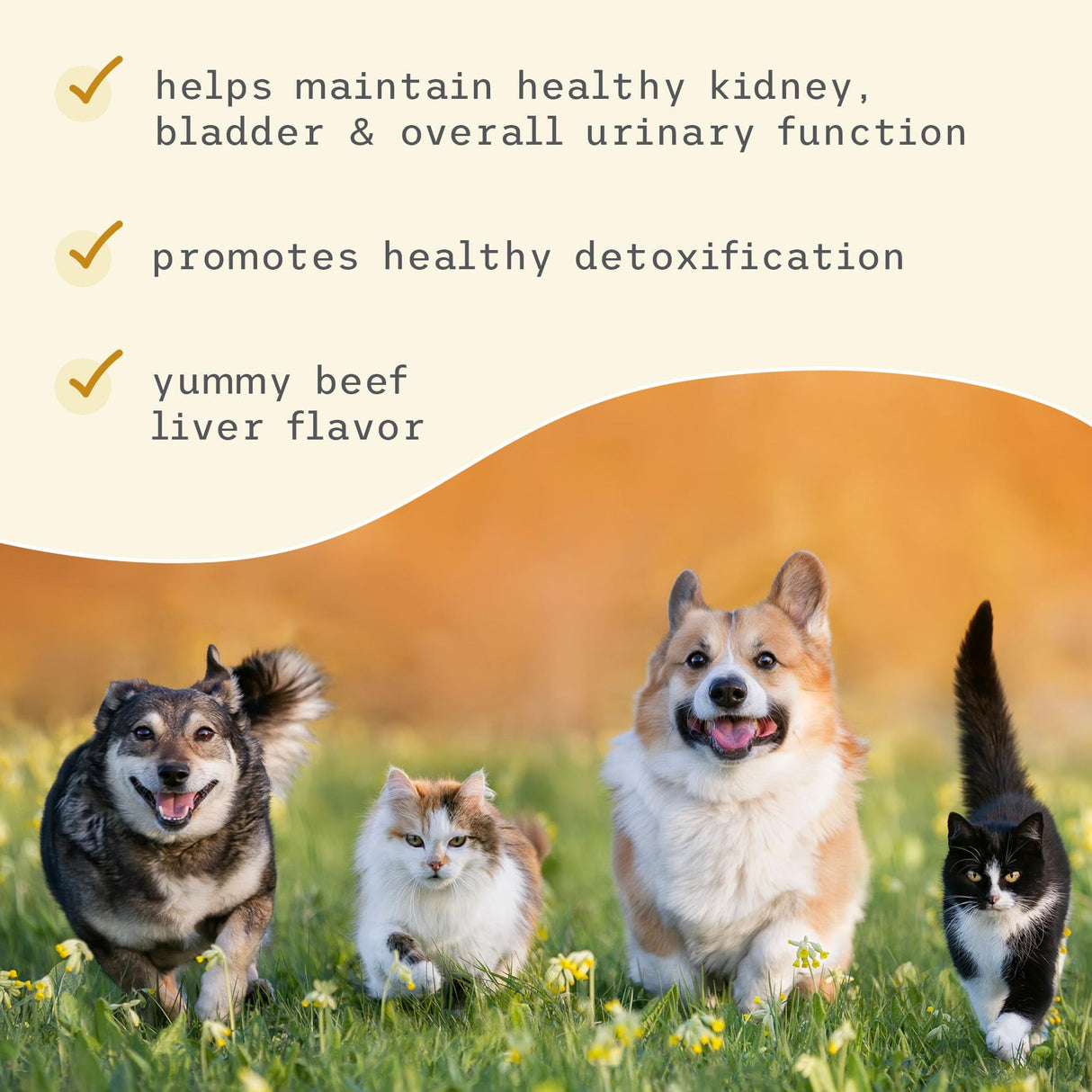Bark & Whiskers Bladder Support, 3.17 Oz. (90 g), 90 Scoops, Supports Urinary Tract Health, with Cranbery & D-Mannose, Vet Formulated, Non-GMO, Dr. Mercola