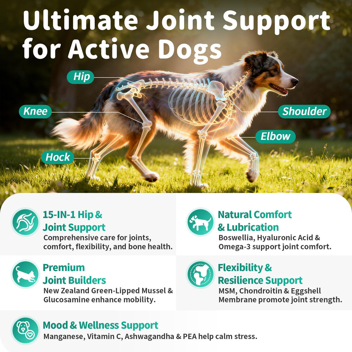 POPPAW Advanced Dog Joint Supplement – 15-in-1 Glucosamine for Dogs with Chondroitin, MSM & Green Lipped Mussel – Hip & Joint Pain Relief Mobility Chews, Chicken Flavor, 90Ct Breeds