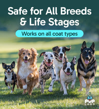 Load image into Gallery viewer, Pup Labs K9 Soothe Anti Itch Spray for Dogs with Aloe, Rose, &amp; Coconut, Natural Hot Spot Treatment for Dogs That Soothes Irritation, Pet Skin Treatment Spray, 4 FL OZ
