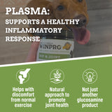 WINPRO Hip & Joint Supplement for Dogs - Plasma Powered Soft Chews for Joint Health & Mobility – Fast-Acting with Collagen & Natural Ingredients for Dogs of All Breeds – 60 Chews