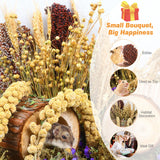 ALWZ-RDY Natural Hamster Bedding, Hamster Herbs Flowers for Hamster Cage Enclosure Habitat Decor Hamster Sprays for Dwarf Syrian Guinea Hamsters Gerbil Degus or Other Small Animals（Grain Version）