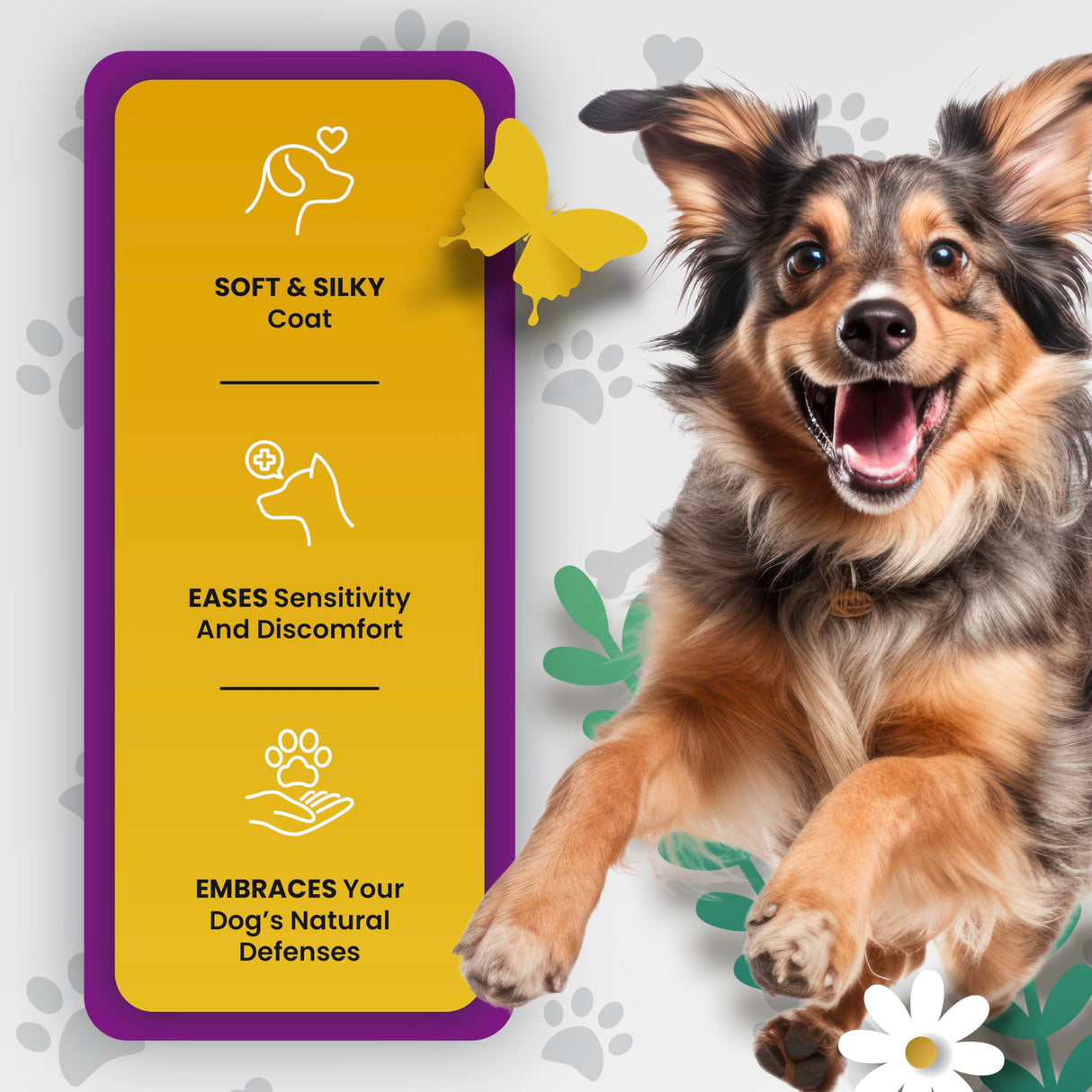 PetMade Omega 3 Fish Oil for Dogs Skin and Coat - Wild Alaskan Pollock Oil for Itchy Skin- Omega 3 Fatty Acids for Dogs - Liquid EPA & DHA Supplements - with Zinc, Vitamin C, B2, B7 & E - 16 Fl Oz