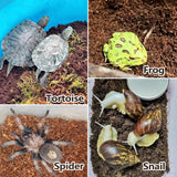 BNOSDM 2PCS Reptile Soil Substrate,Fluffy Small-Strand Reptile Substrate,Natural Terrarium Bioactive Soil Bedding for Snakes, Lizards, Tortoises Tarantulas,Lizards