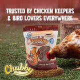 Chubby Dried Mealworms | 2 lbs | High-Protein Non-GMO Treats for Chickens, Ducks, Wild Birds & Backyard Pets