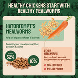 Hatortempt Bulk Dried Mealworms 10 lbs – Premium Non-GMO Dried Mealworms for Chickens – High Protein Organic Chicken Feed - Meal Worms for Birds & Chicken Treats for Laying Hens