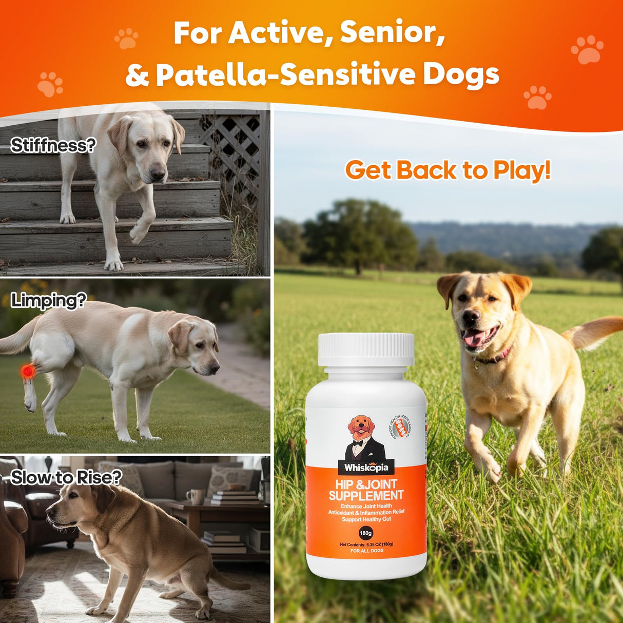 Whiskopia Hip and Joint Supplement for Dogs, Joint Pain Relief Supplement with MSM, Glucosamine, Chondroitin, Support Mobility, Health Chews for Dog, 120 Chews