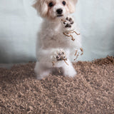 ECO BEDDING 99% Dust-Free Paper Bedding for Small Pets and Birds, Eco Natural, 1.5 lb - Safe, Clean, Ideal Nesting & Burrowing Material for Comfort