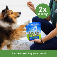 Load image into Gallery viewer, Ark Naturals Soft Brushless Toothpaste, Dog Dental Chews for Small Breeds, Freshens Breath, Unique Texture Helps Reduce Plaque &amp; Tartar, 12oz, 1 Pack
