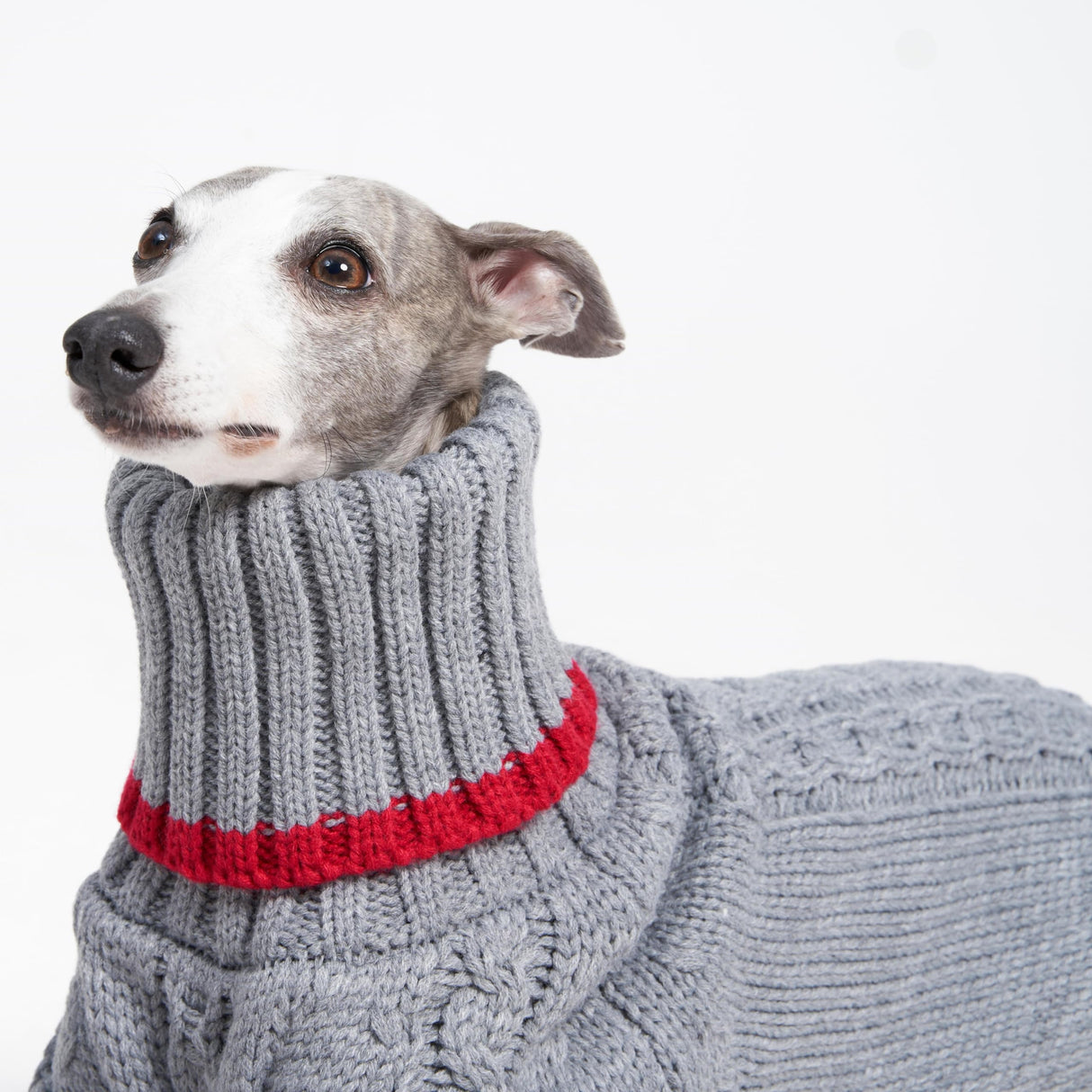 ESCCBOO Italian Greyhound Clothes, Warm Sweater for Whippets, Dog Onesie, Two-Legged Turtleneck Warm Sweater for Small Medium Dogs (Small, Grey)